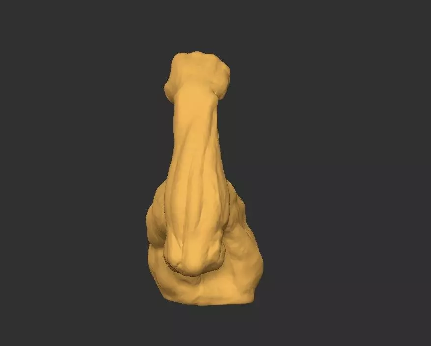 Hand Arm 3D print model_0
