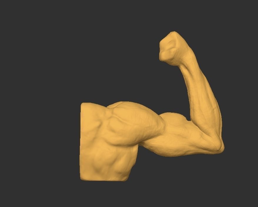 Hand Arm 3D print model_8