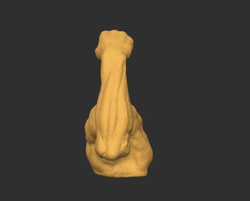 Hand Arm 3D print model_6