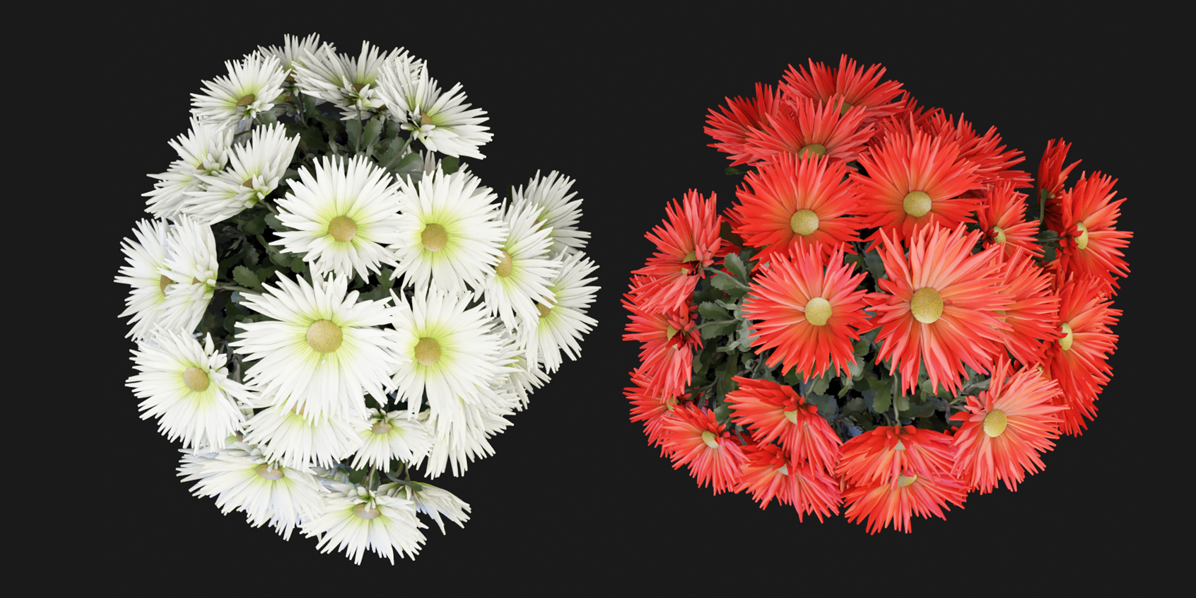 Collection plant vol 115 - blender model  3D model_1