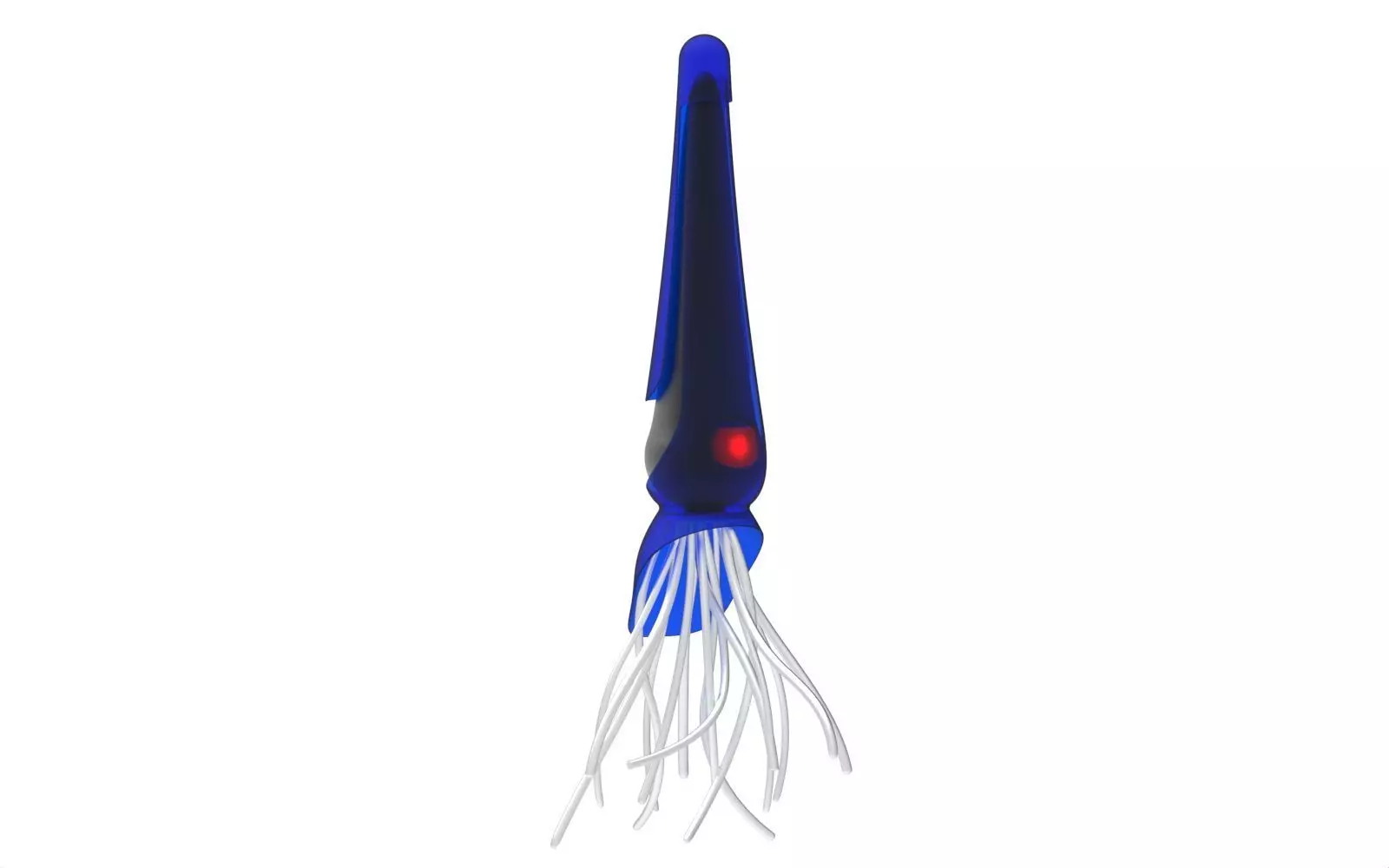 giant squid 3D model