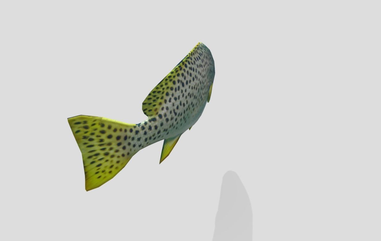 Blackspotted Sweetlips Realistic Animated Low-poly 3D model_11