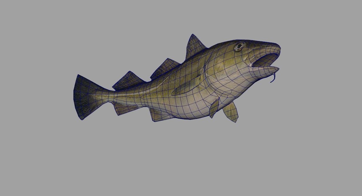 Atlantic-Cod Realistic Animated Low-poly 3D model_3