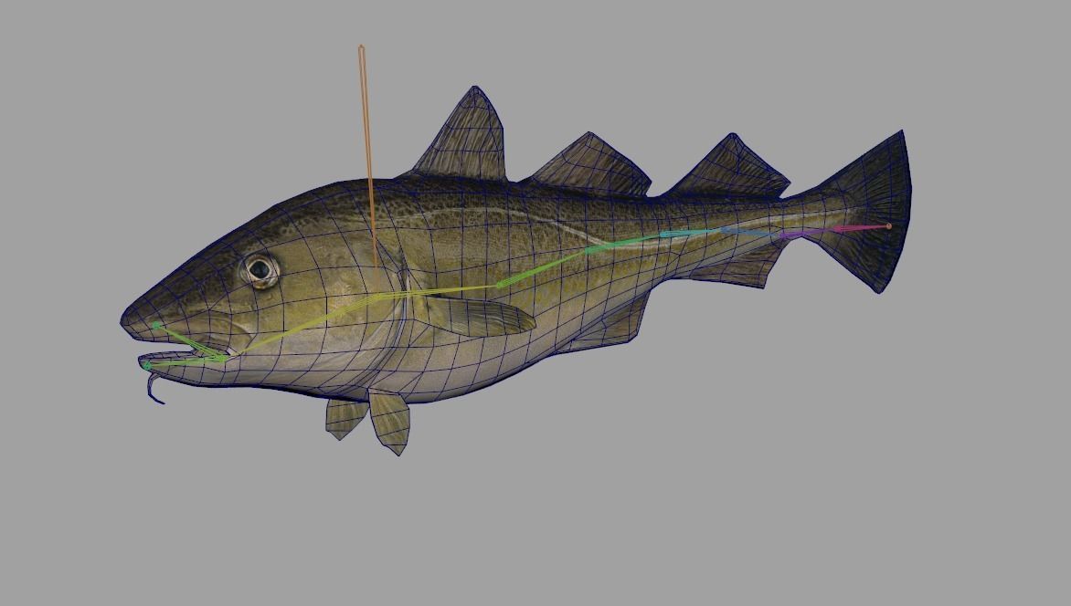 Atlantic-Cod Realistic Animated Low-poly 3D model_8