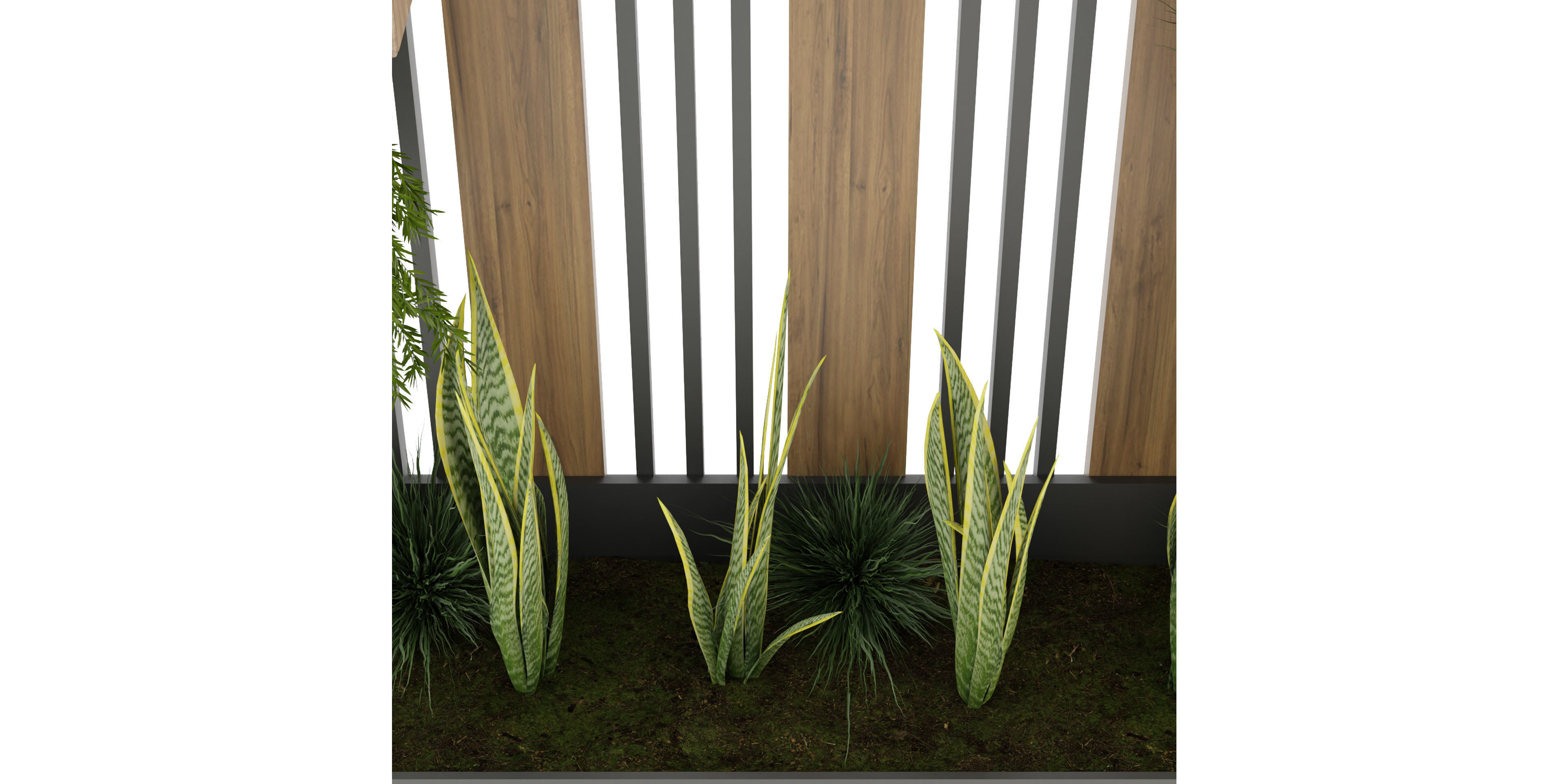 Collection plant vol 117 - blender model  3D model_2