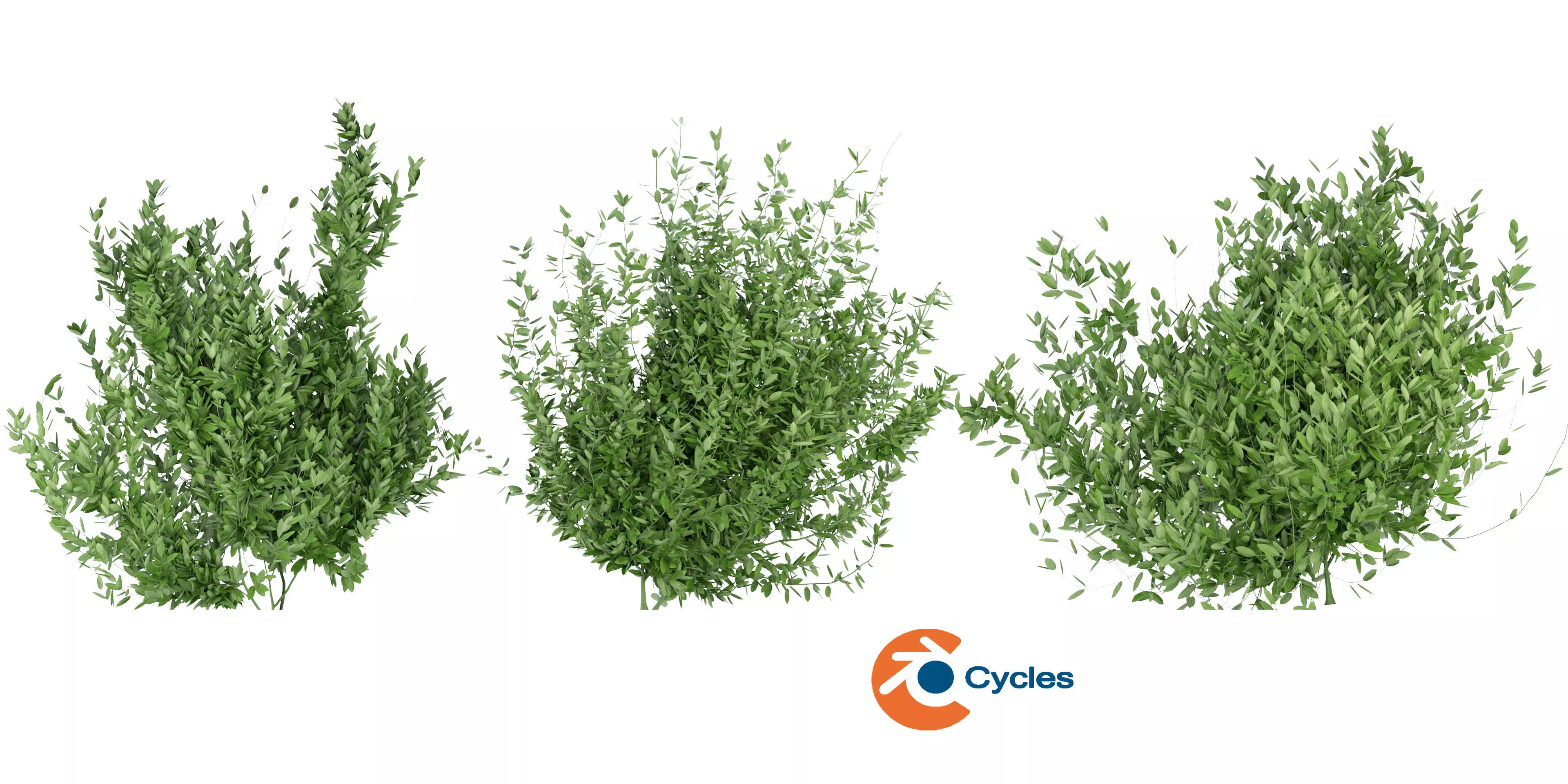 Collection plant vol 124 - blender model  3D model_0