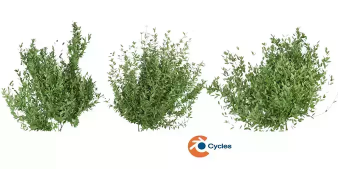 Collection plant vol 124 - blender model 