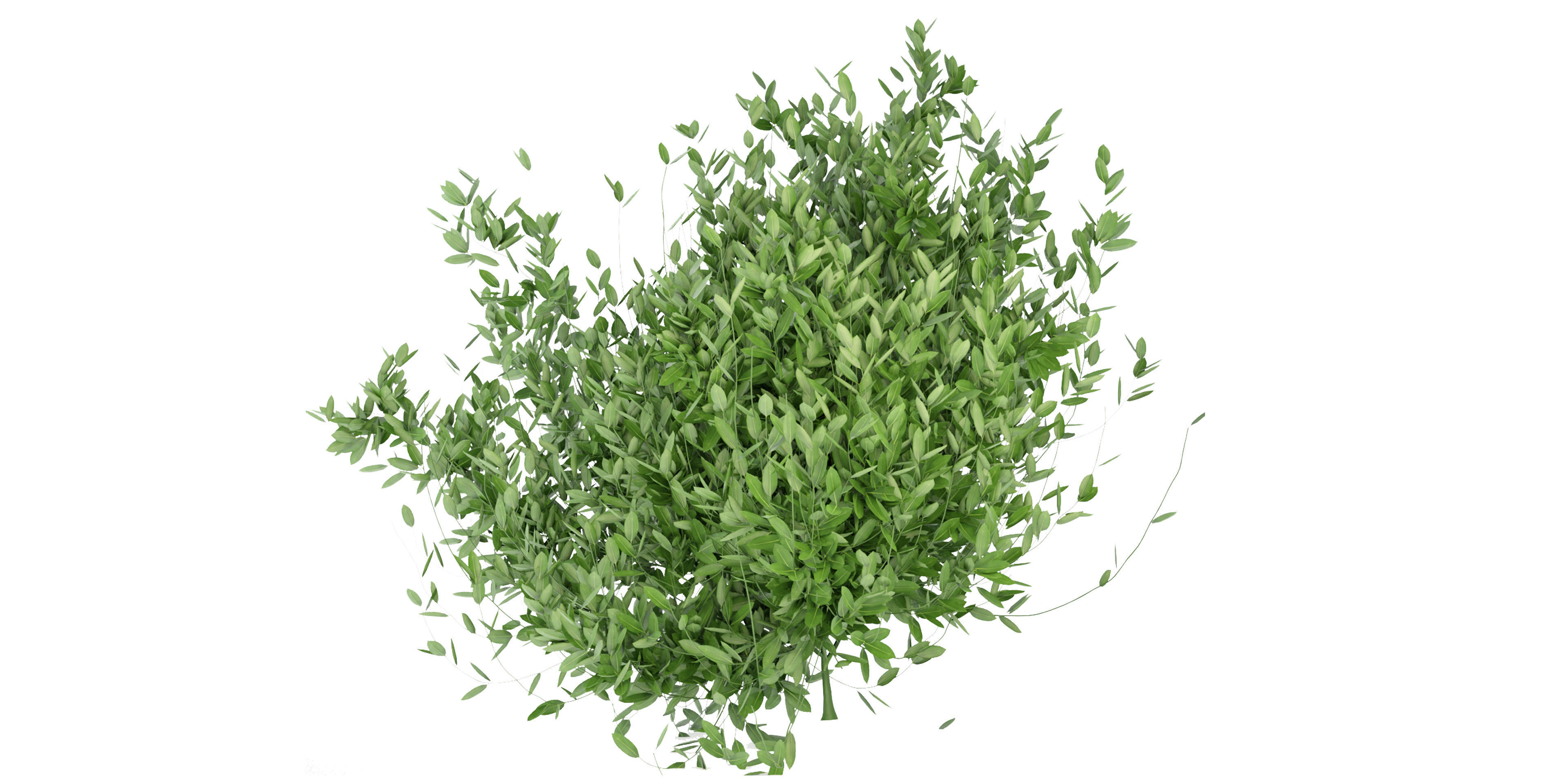 Collection plant vol 124 - blender model  3D model_3