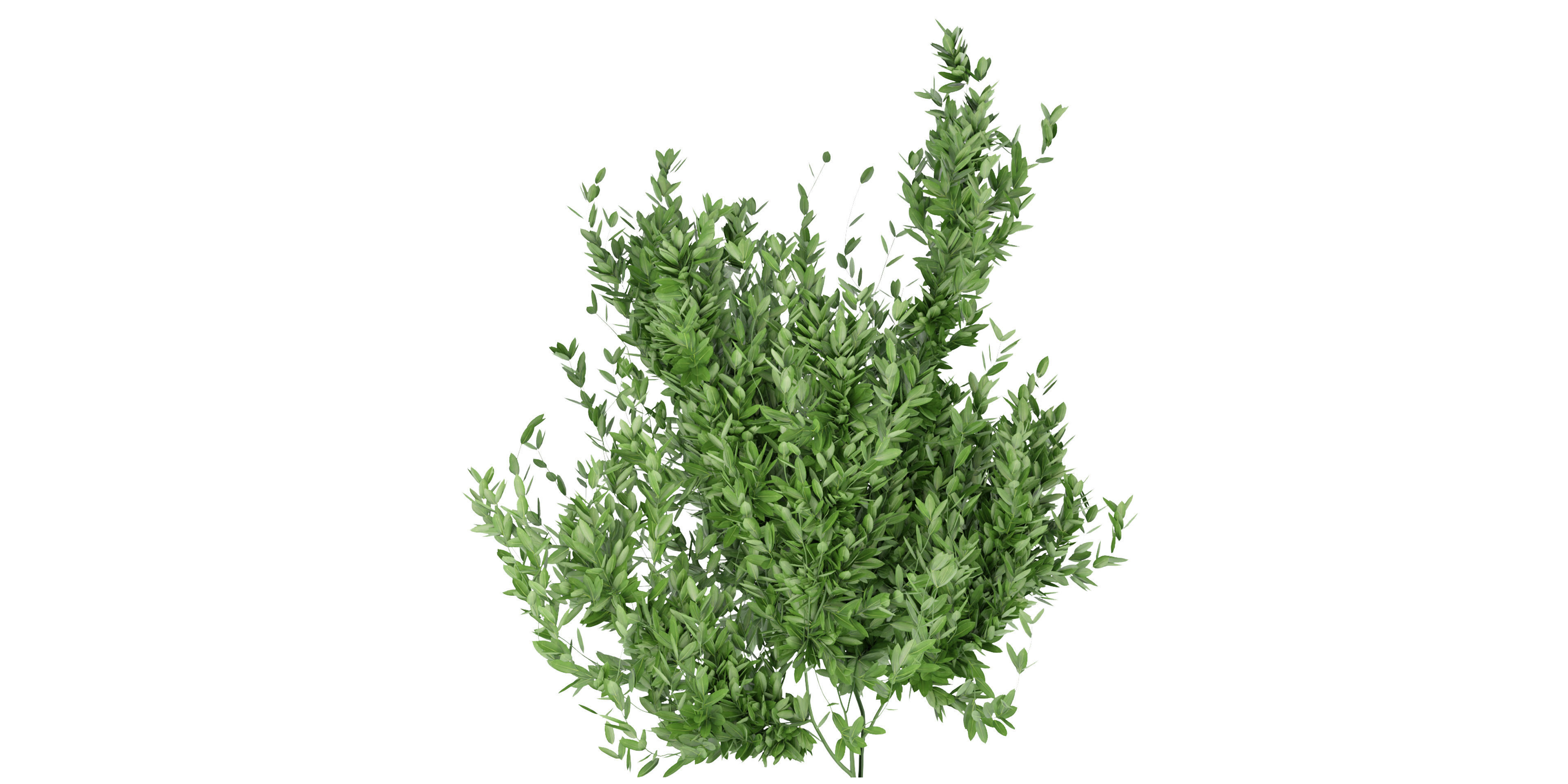 Collection plant vol 124 - blender model  3D model_1