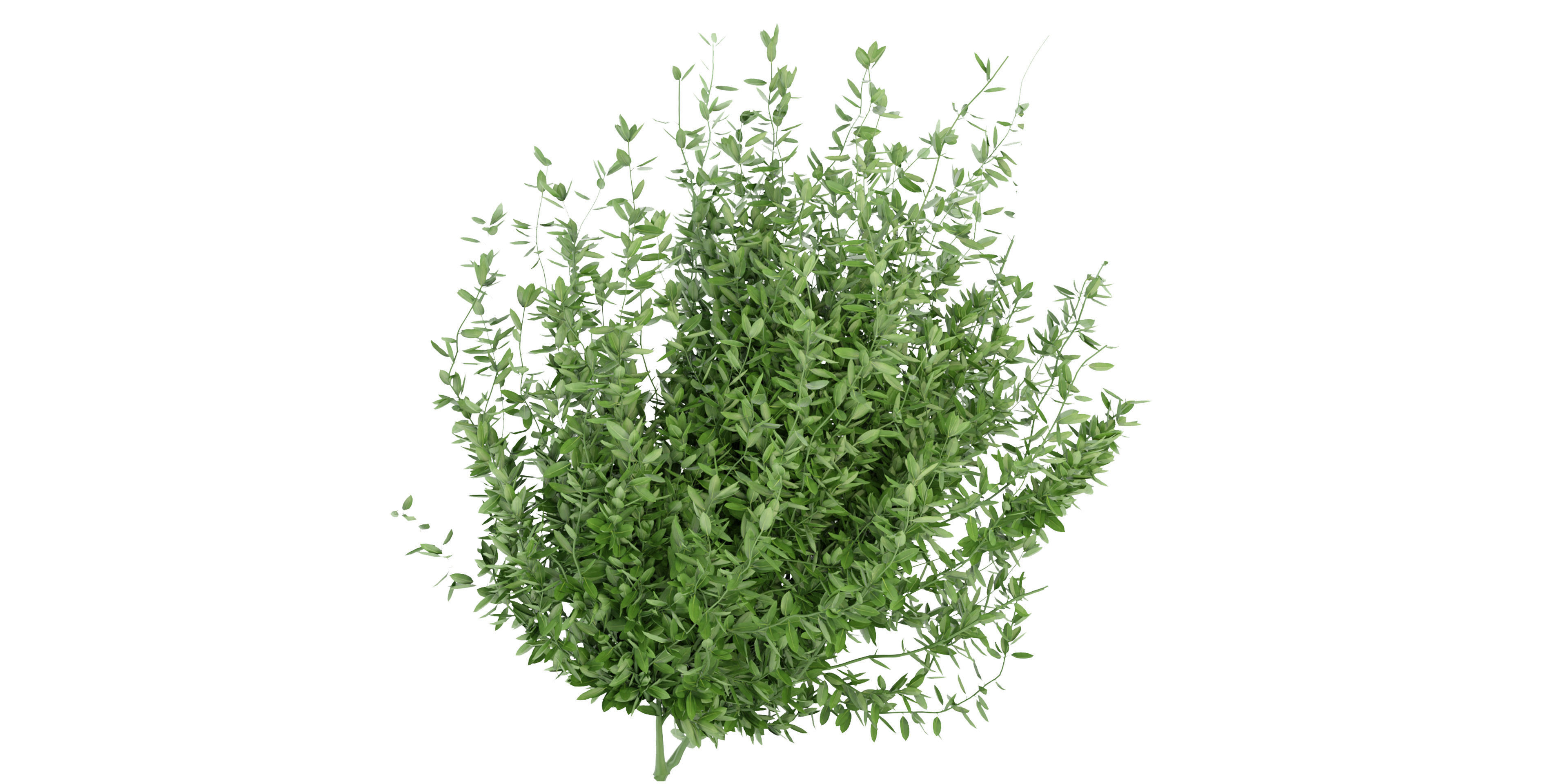 Collection plant vol 124 - blender model  3D model_2