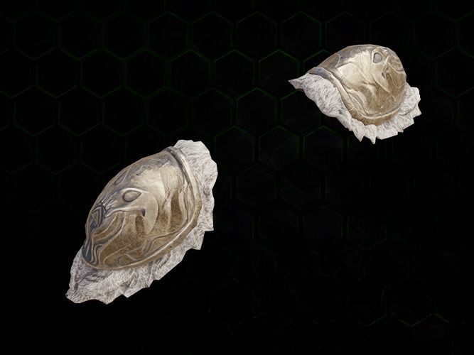 Shoulder Viking Ocotopus gazukull for film and game female armor Low-poly 3D model_3