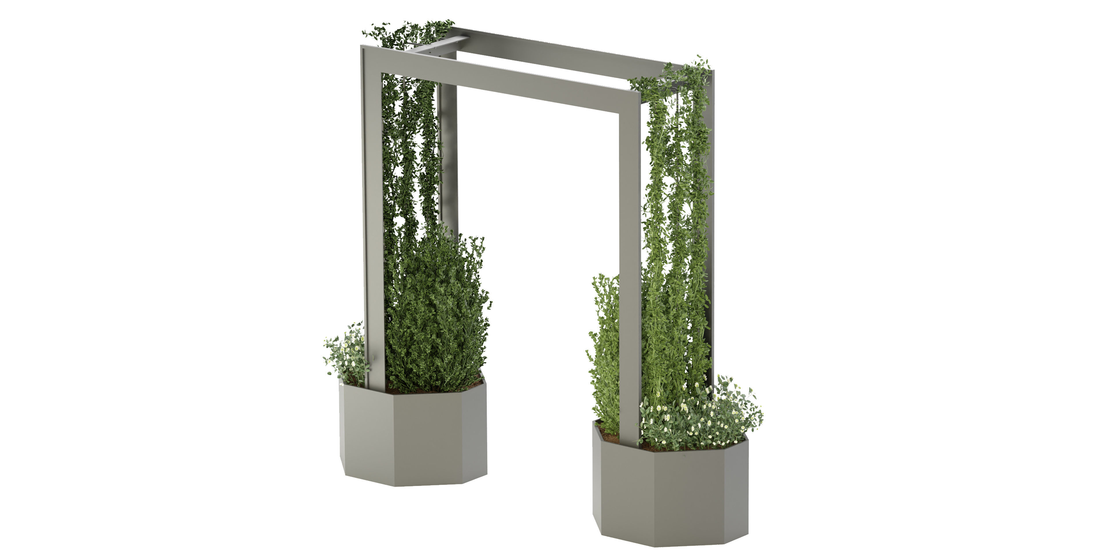 Collection plant vol 147 - blender model  3D model_1