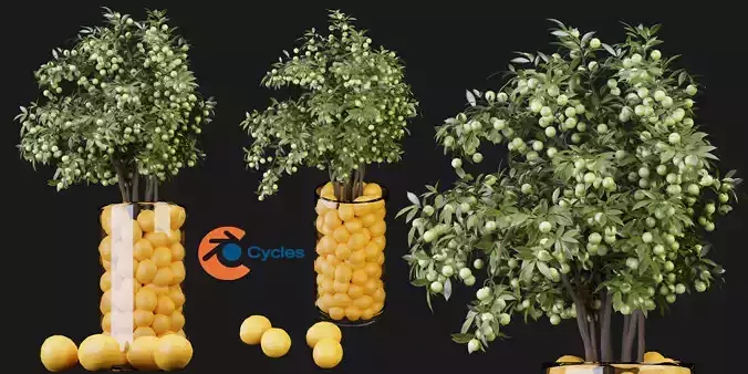 Collection plant vol 153 - blender model  3D model