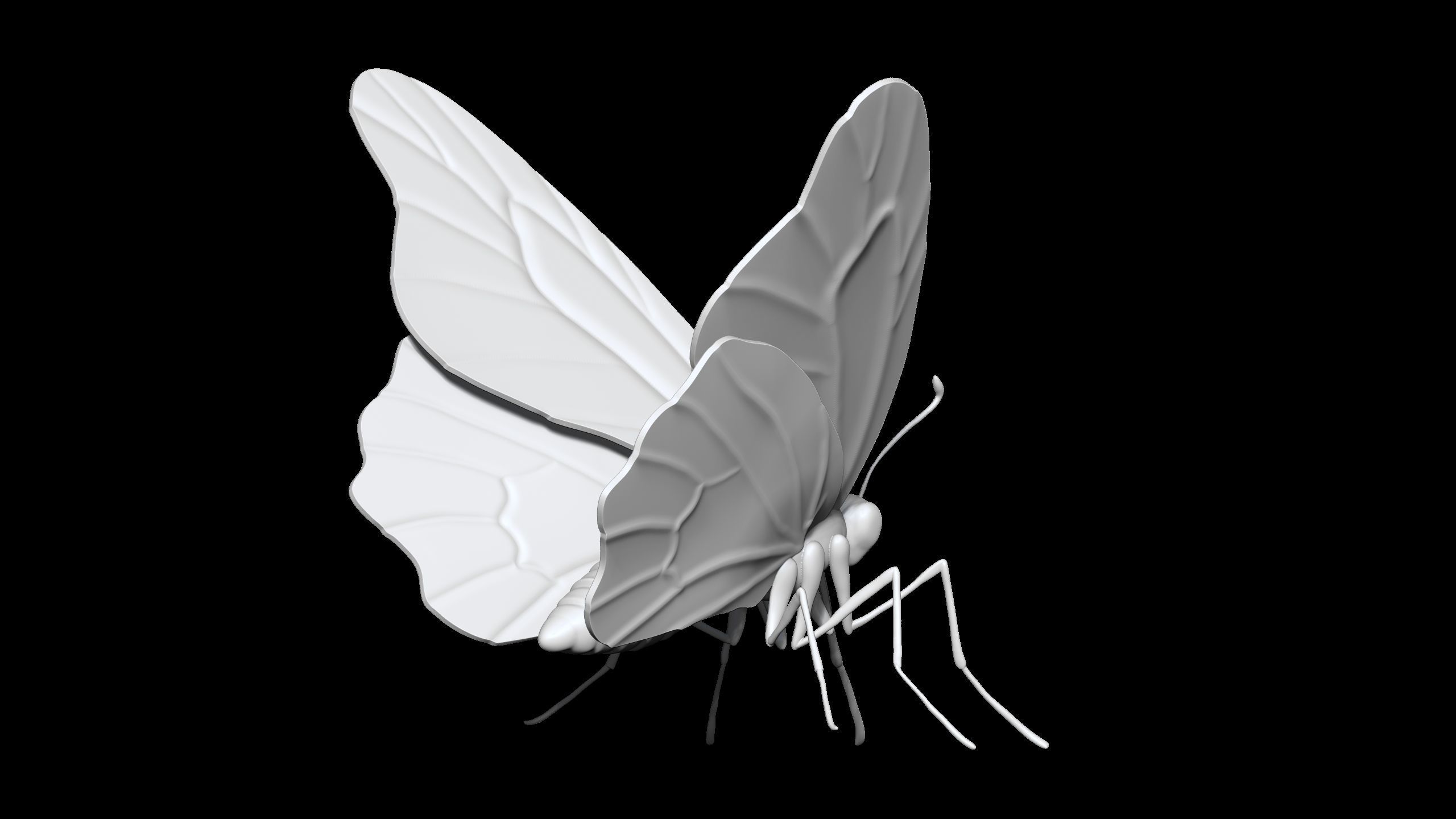 high poly butterfly 3D print model_2