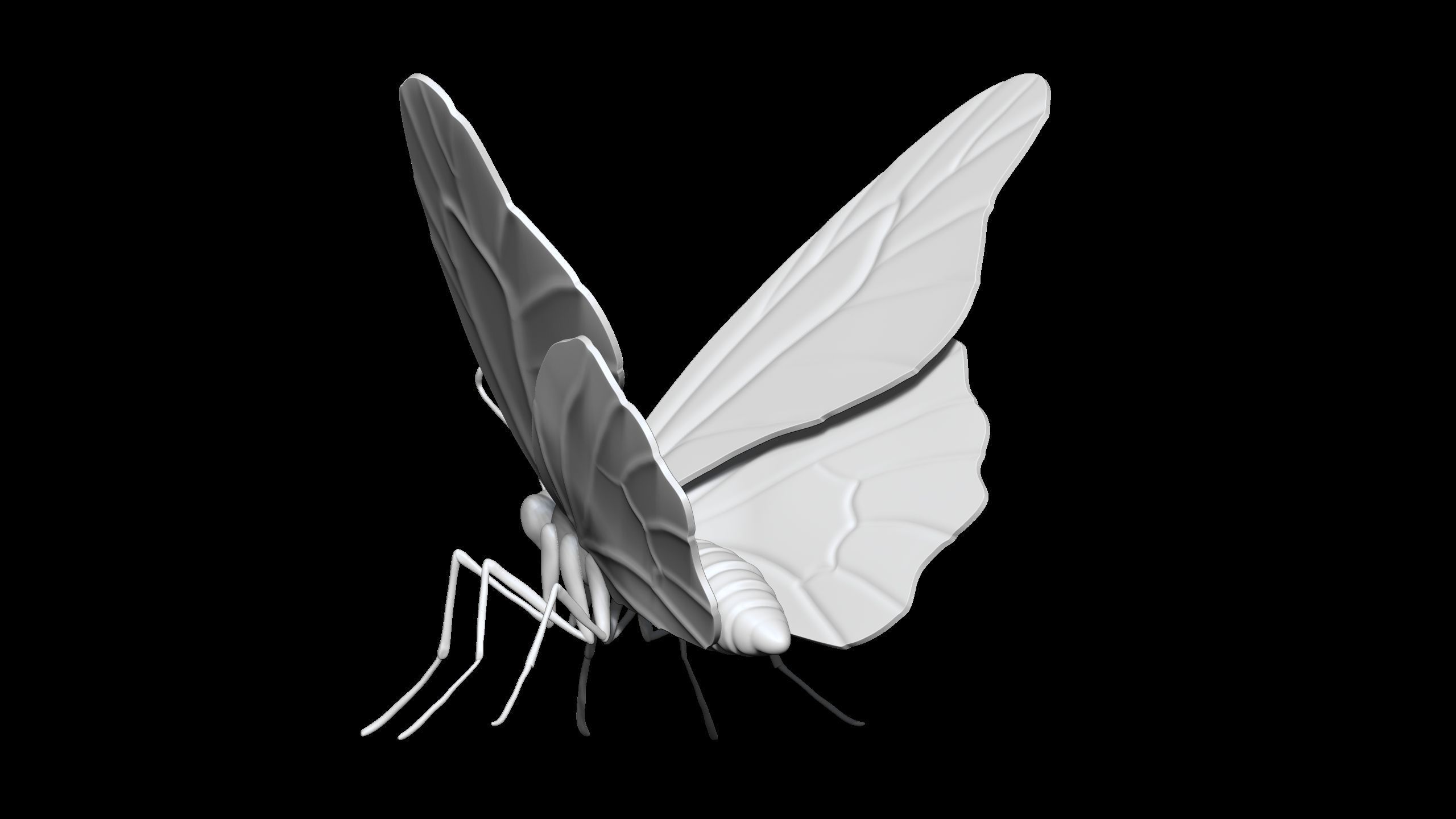 high poly butterfly 3D print model_3