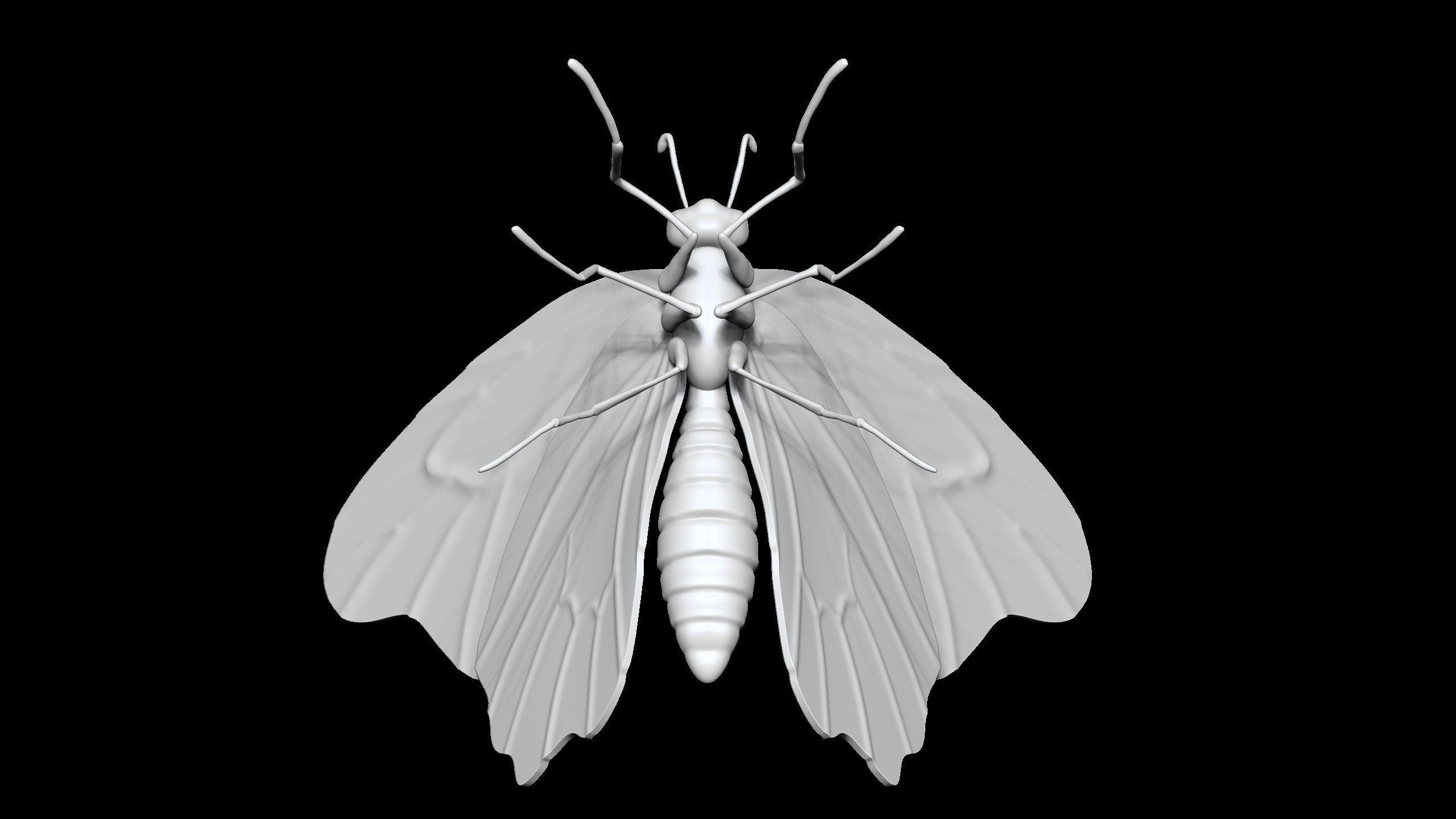 high poly butterfly 3D print model_6