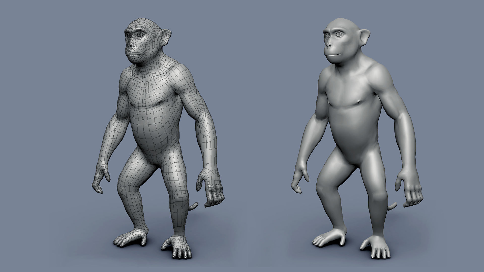 Monkey BaseMesh Low-poly 3D model_2