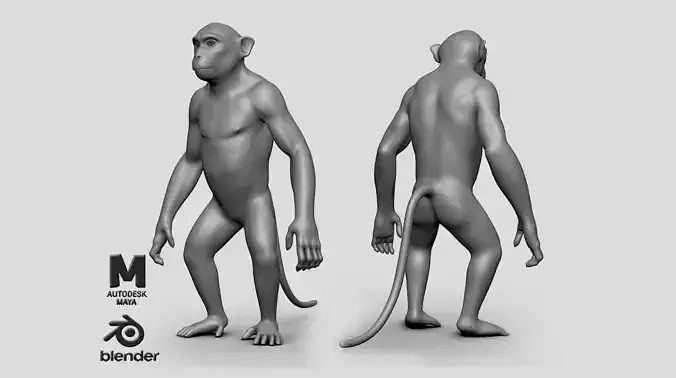 Monkey BaseMesh Low-poly 3D model