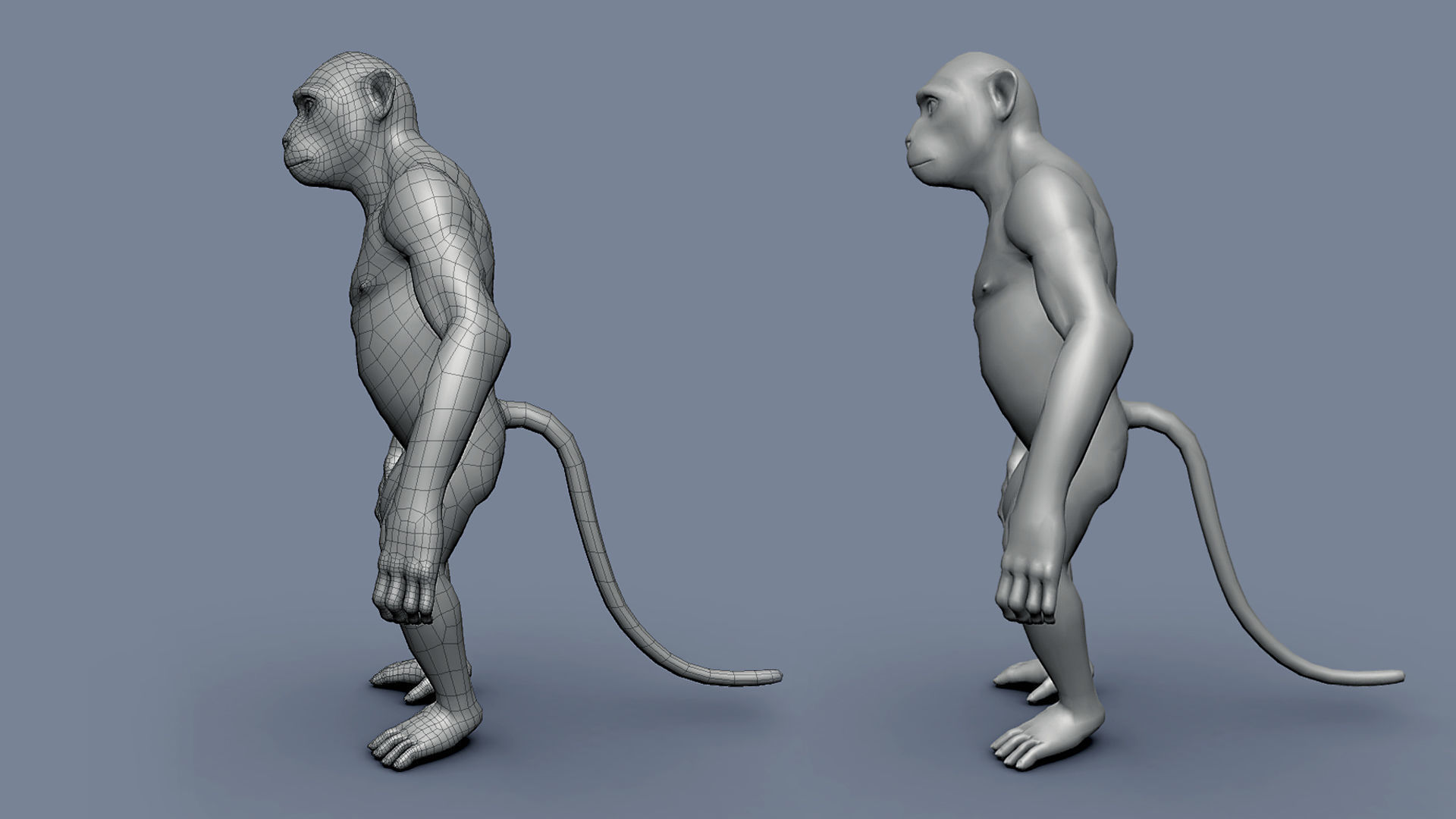 Monkey BaseMesh Low-poly 3D model_3