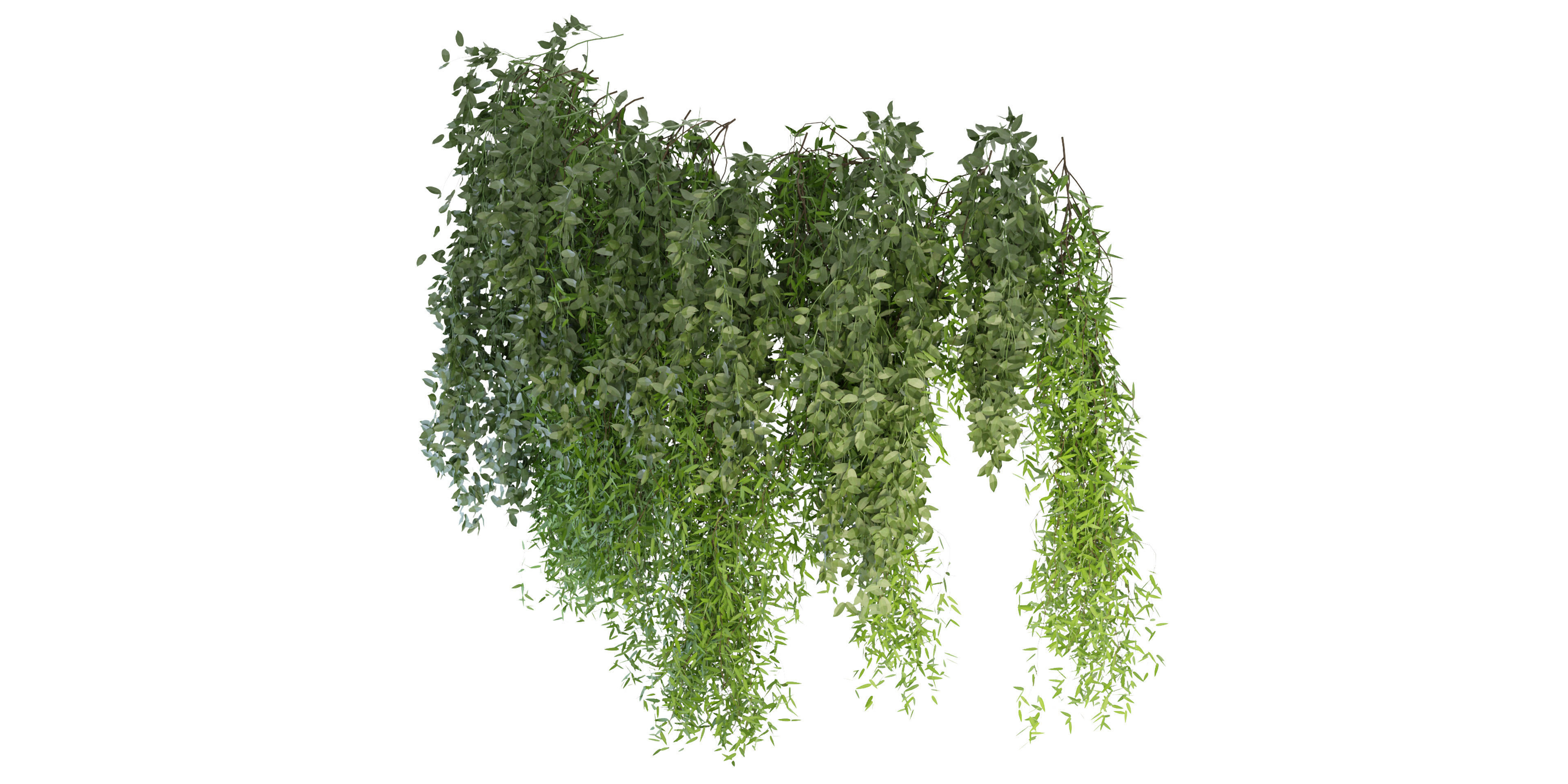 Collection plant vol 165 - blender model  3D model_4