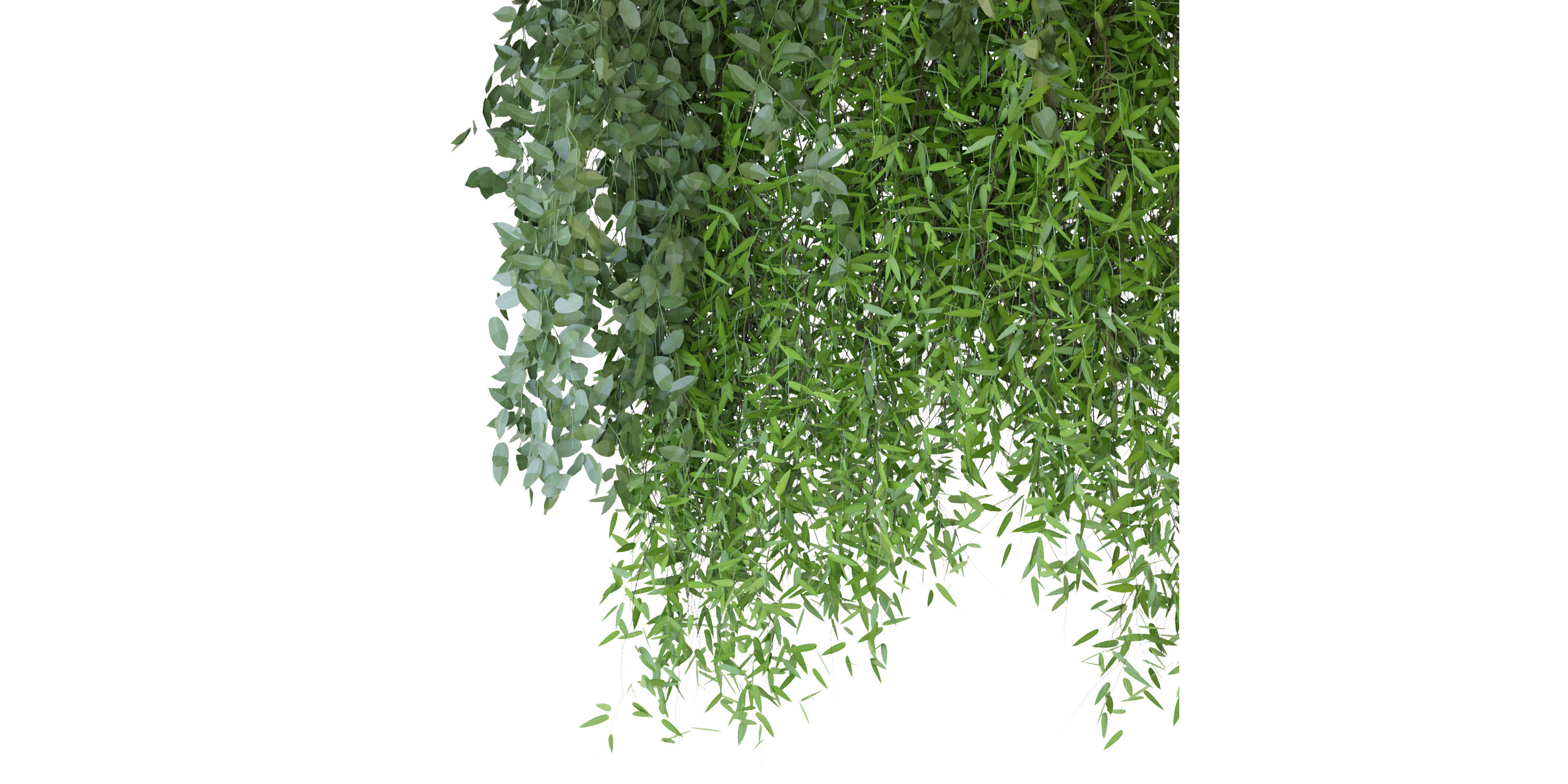 Collection plant vol 165 - blender model  3D model_2