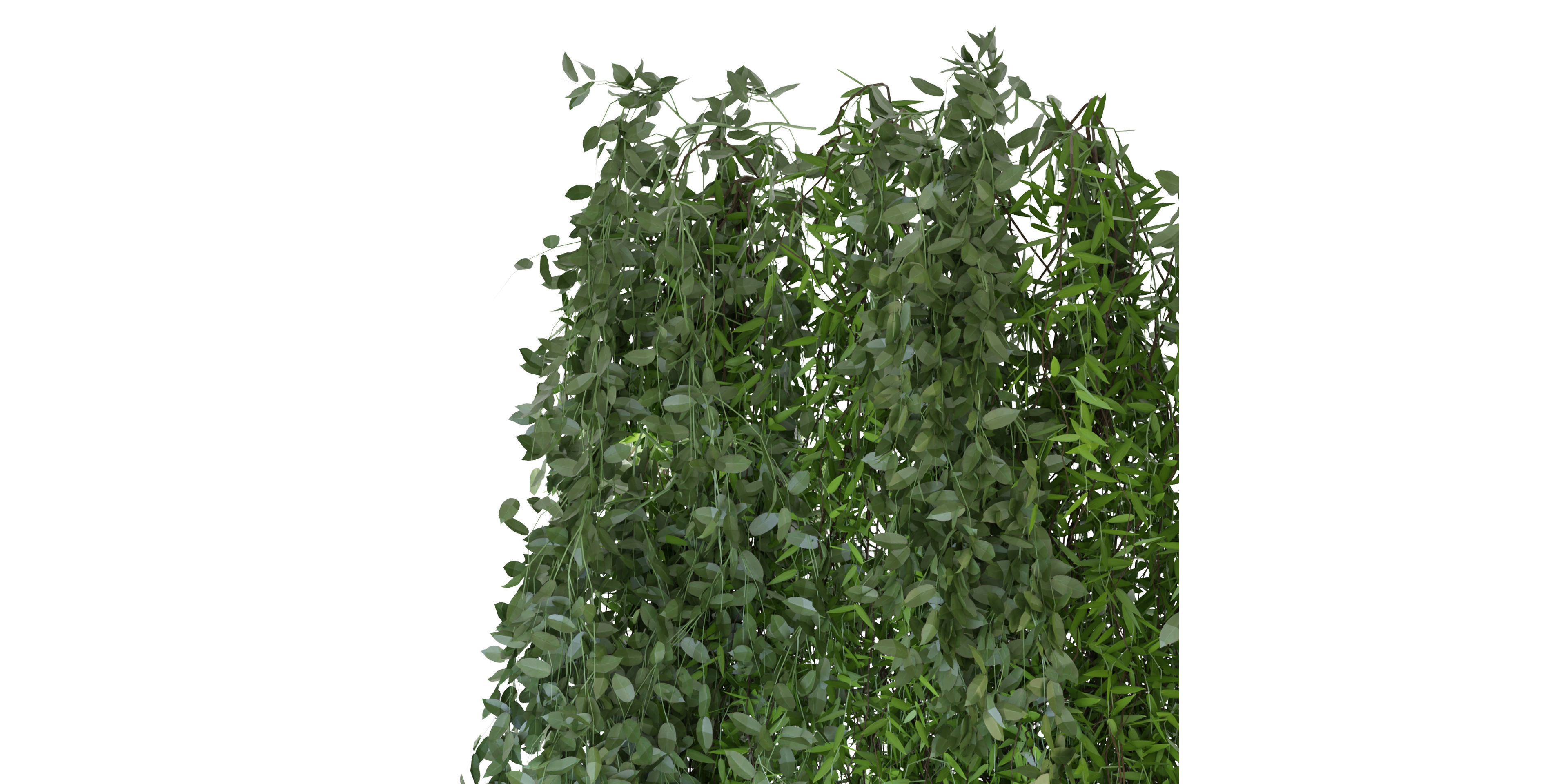 Collection plant vol 165 - blender model  3D model_3