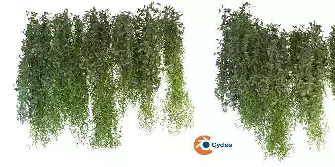 Collection plant vol 165 - blender model 