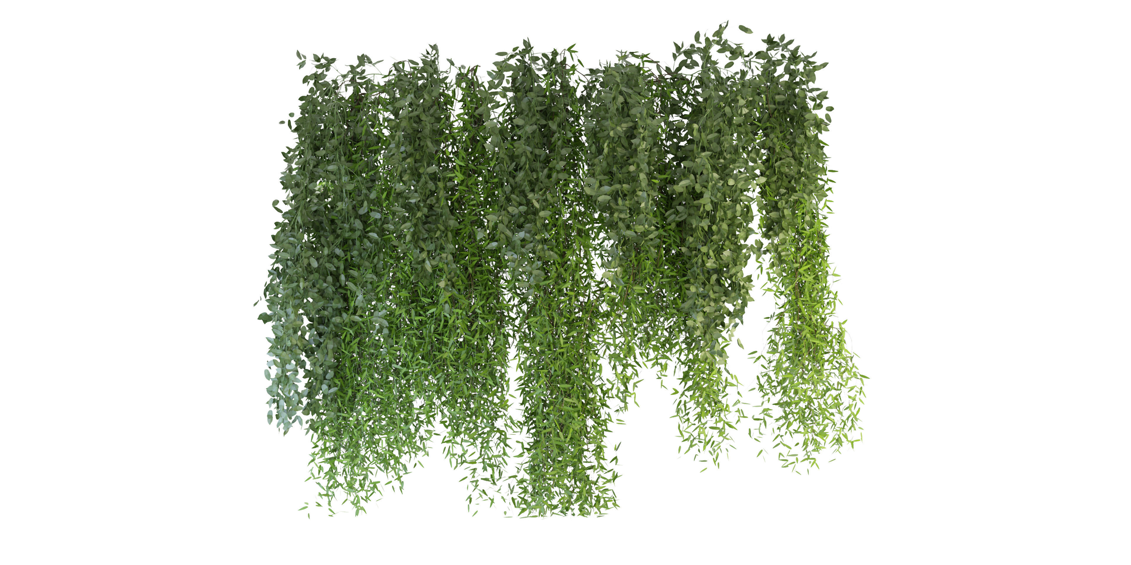 Collection plant vol 165 - blender model  3D model_1