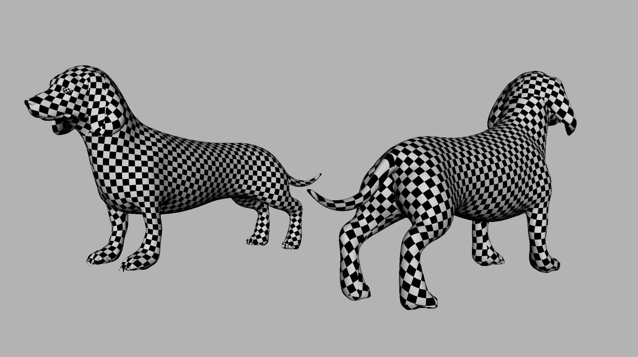 Dachshund Dog BaseMesh Low-poly 3D model_5