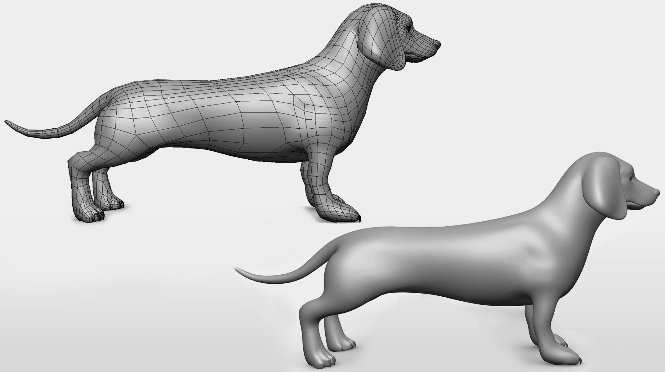 Dachshund Dog BaseMesh Low-poly 3D model_3