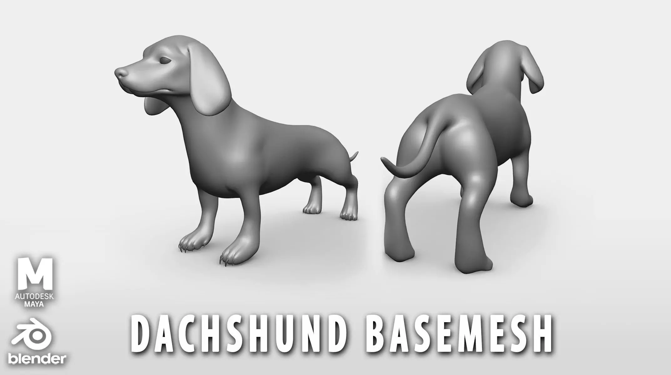 Dachshund Dog BaseMesh Low-poly 3D model_0