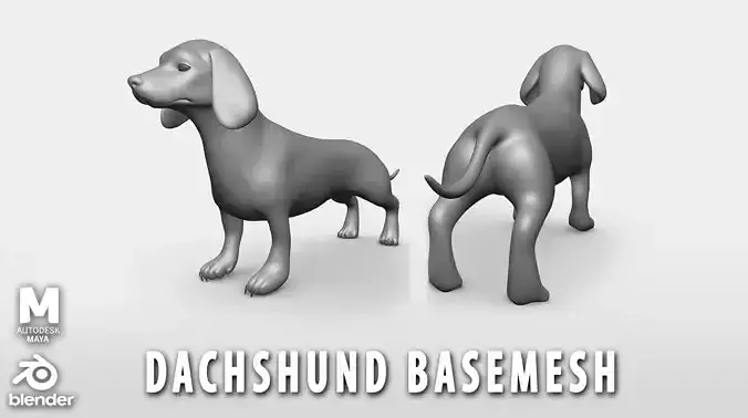 Dachshund Dog BaseMesh Low-poly 3D model