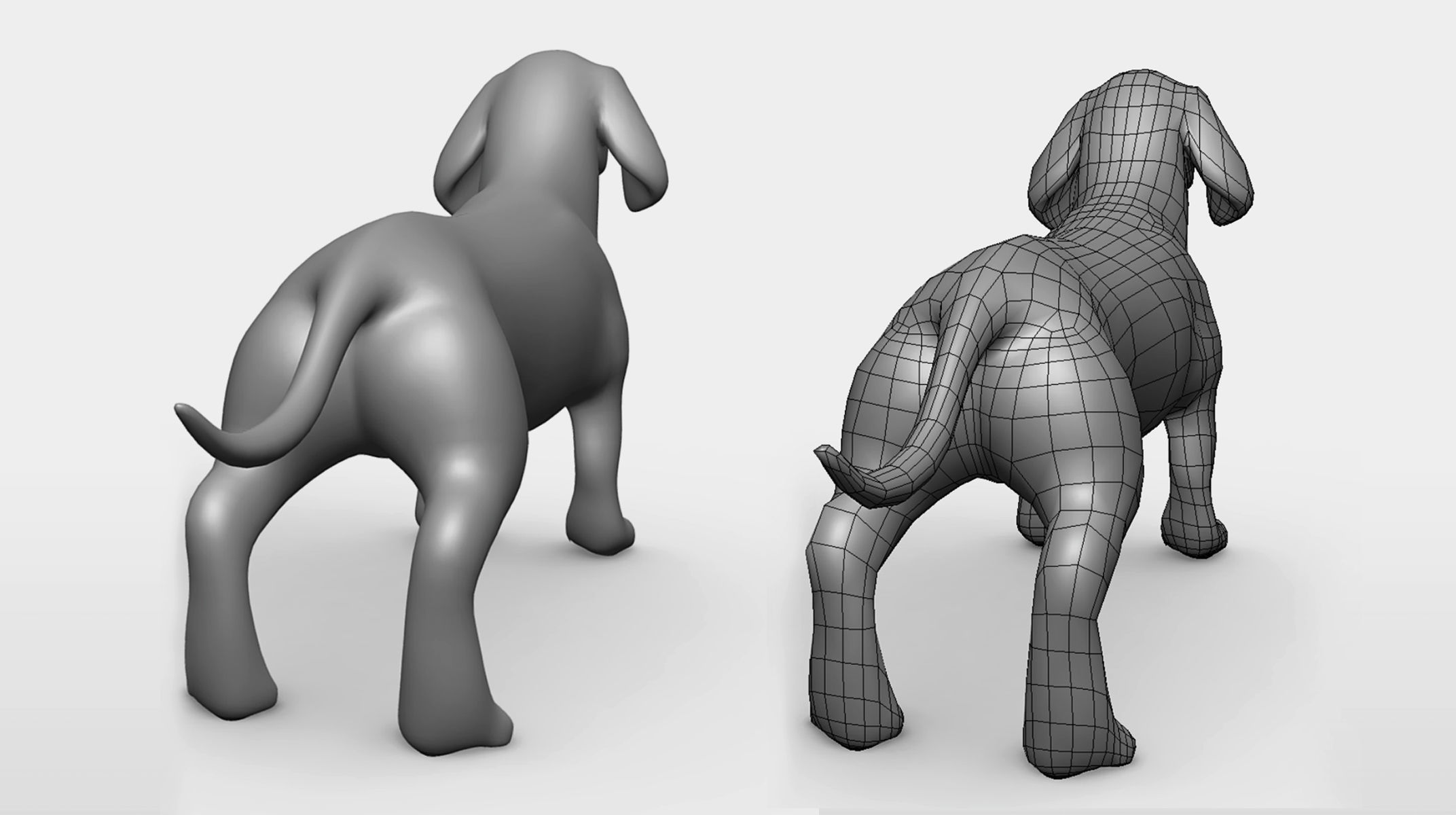 Dachshund Dog BaseMesh Low-poly 3D model_4