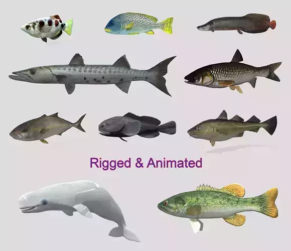 Fish Collection Animated - Game Ready Pack 1 Low-poly 3D model