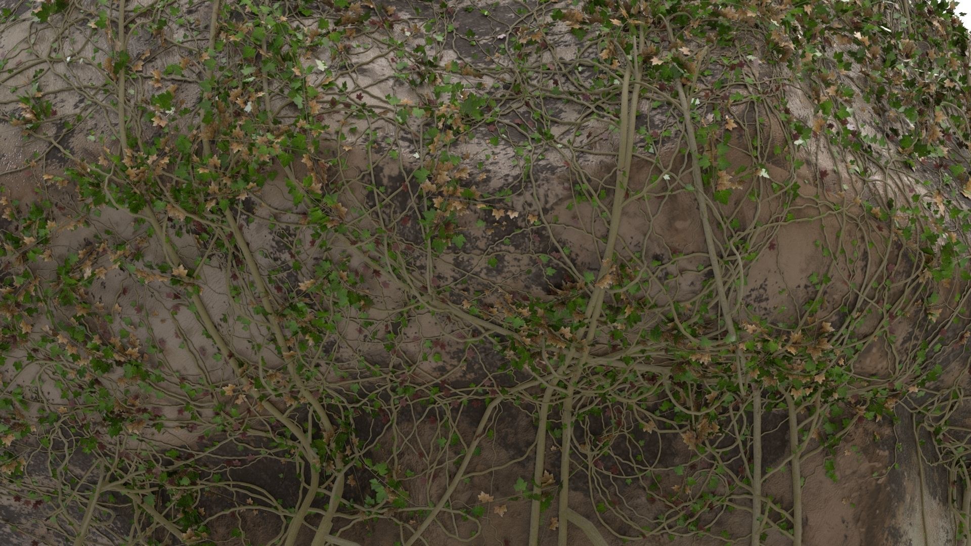 4K Realistic Giant Rock Ivy  3D model_2