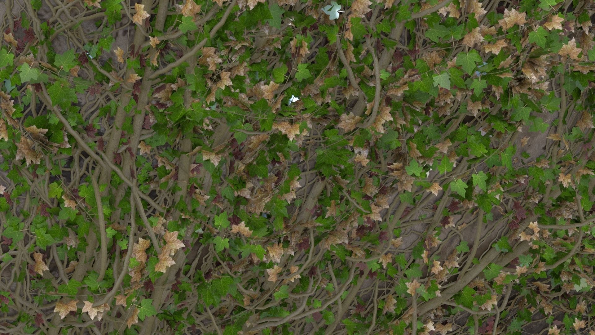 4K Realistic Giant Rock Ivy  3D model_7