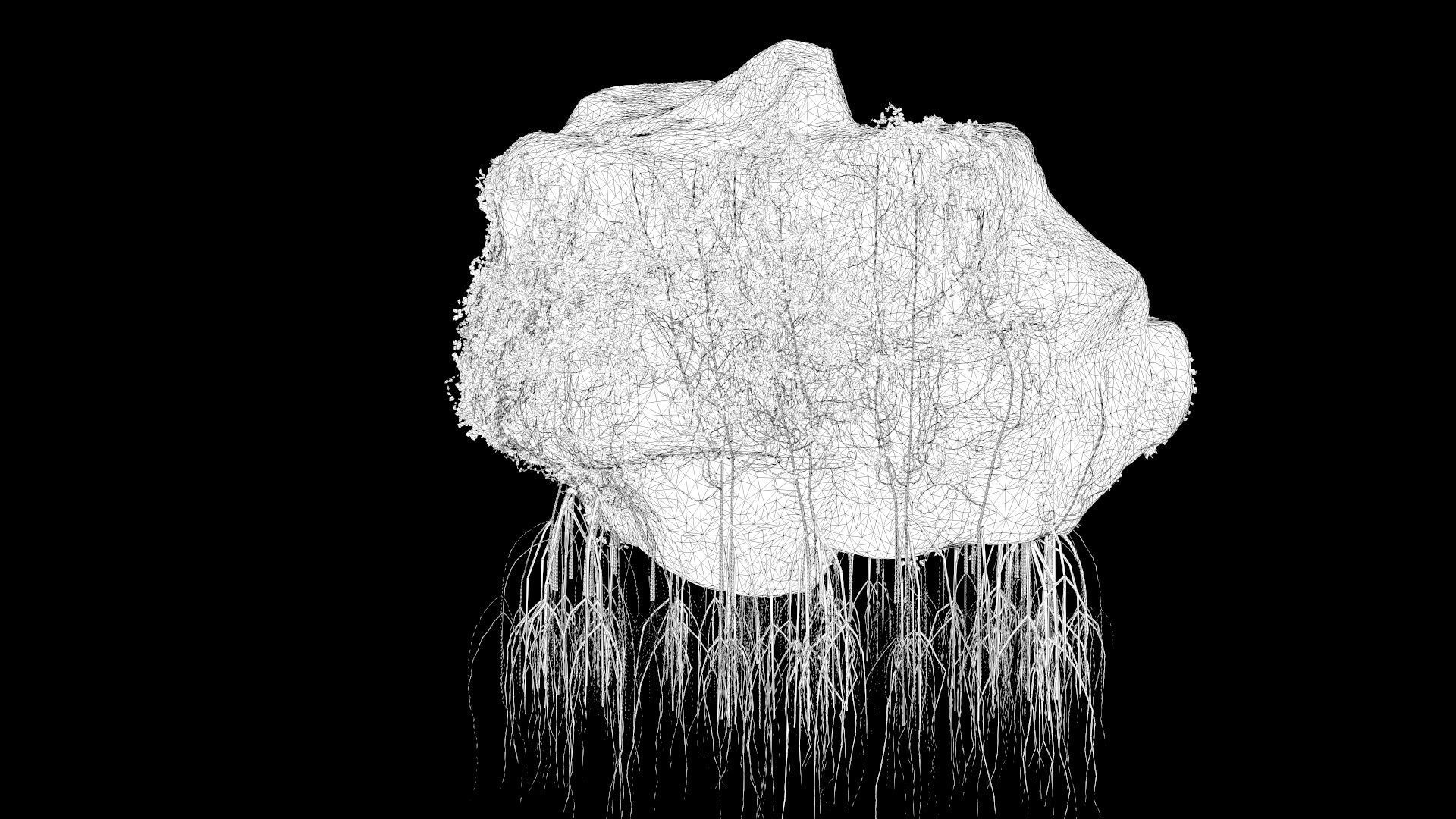 4K Realistic Giant Rock Ivy  3D model_12