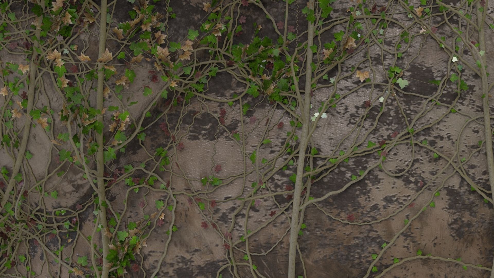 4K Realistic Giant Rock Ivy  3D model_9