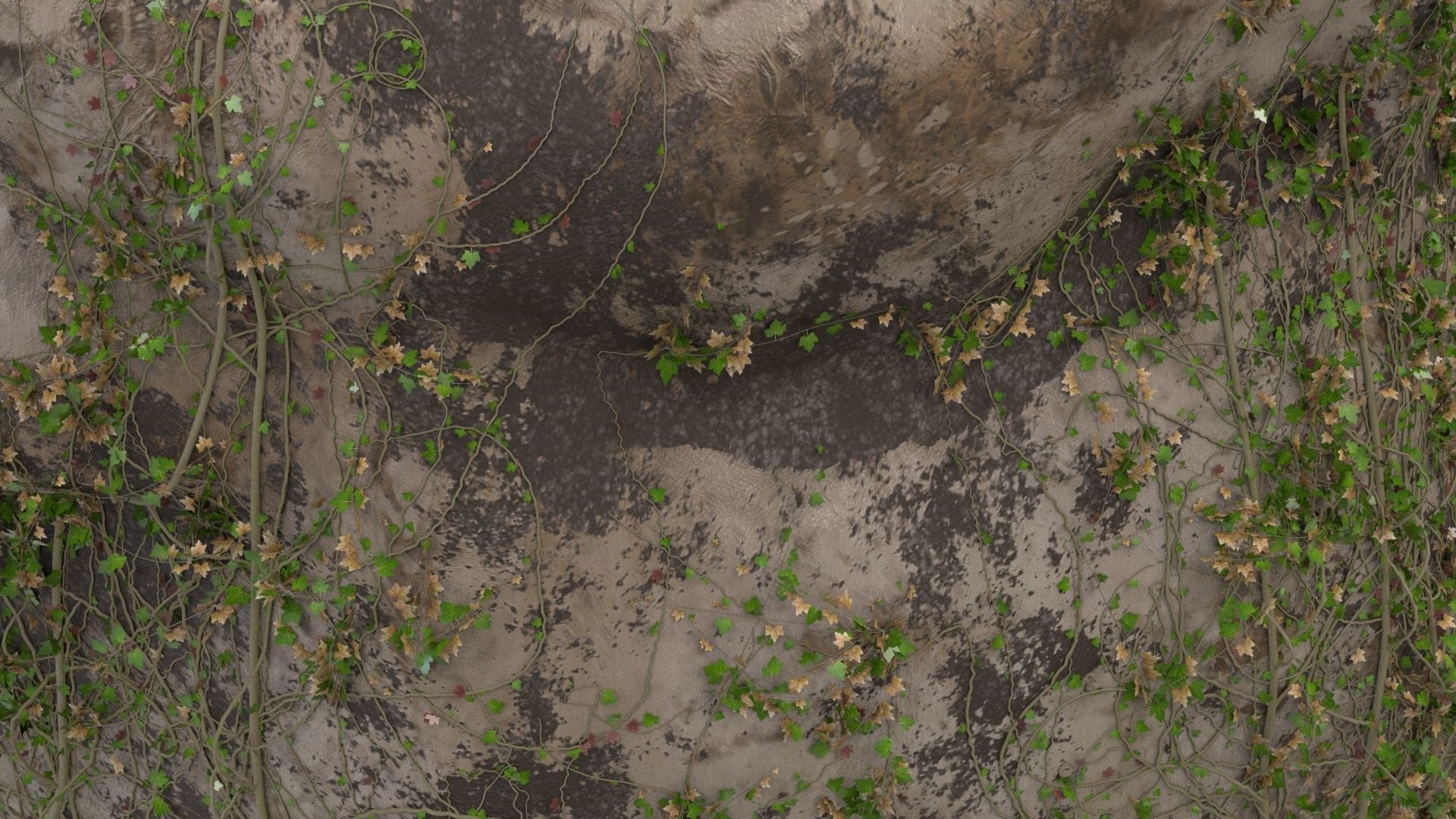 4K Realistic Giant Rock Ivy  3D model_10