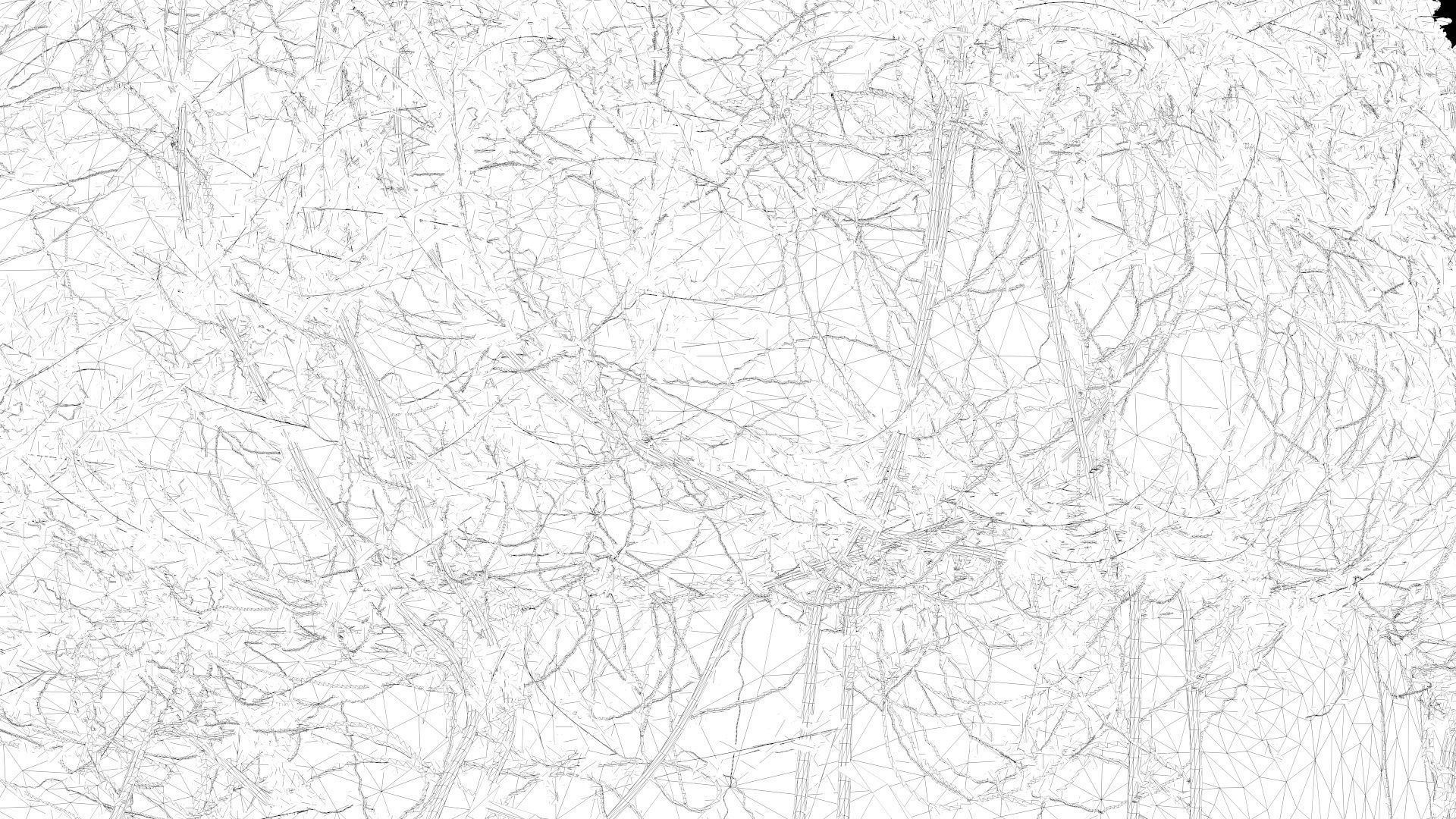 4K Realistic Giant Rock Ivy  3D model_13