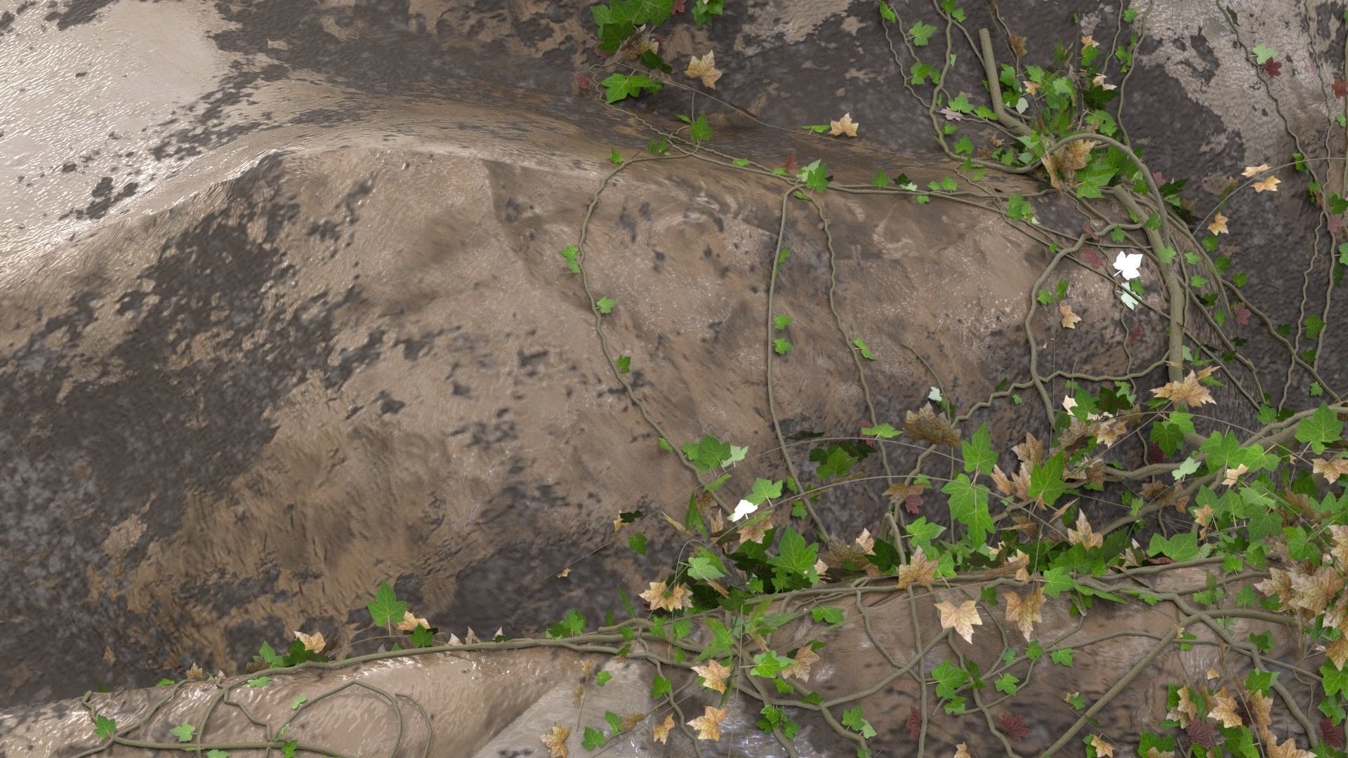 4K Realistic Giant Rock Ivy  3D model_6