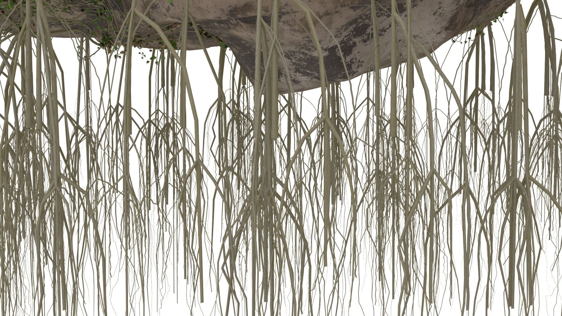 4K Realistic Giant Rock Ivy  3D model_8