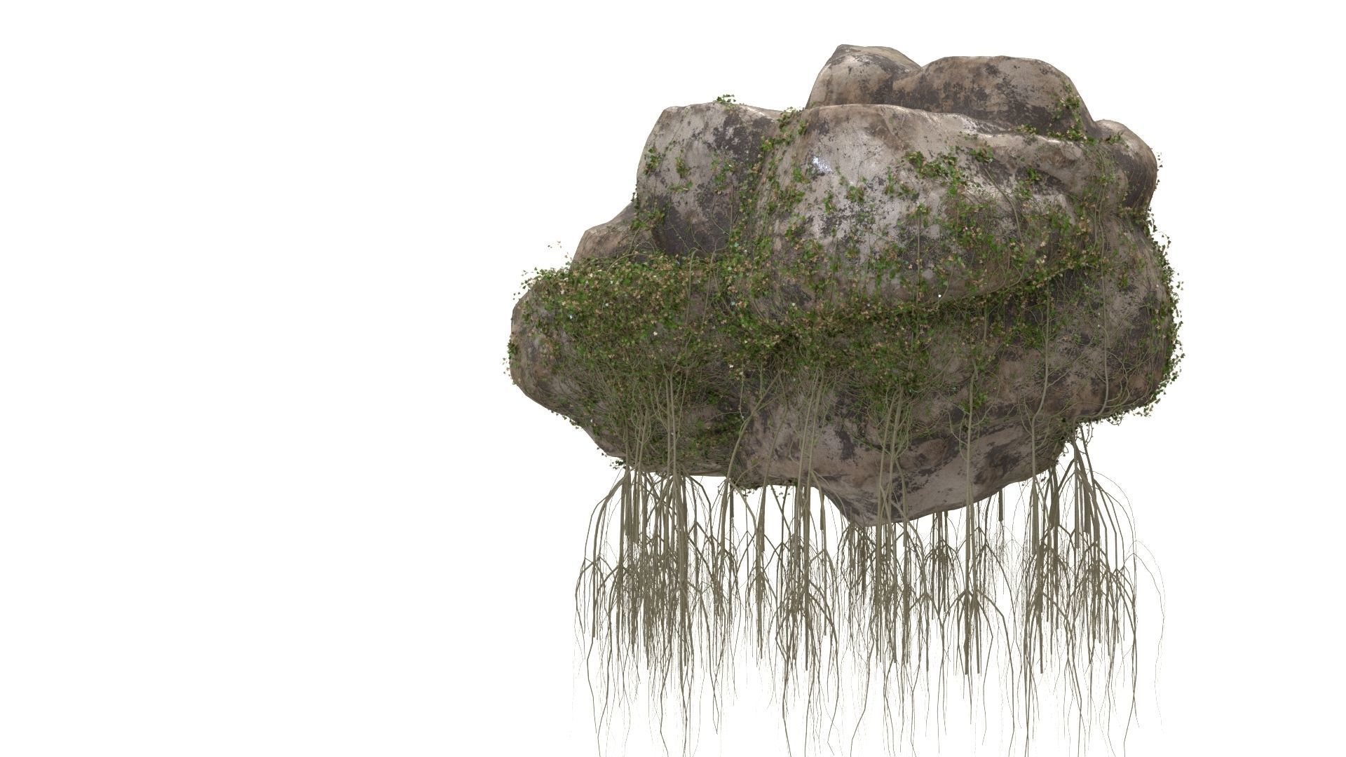 4K Realistic Giant Rock Ivy  3D model_4