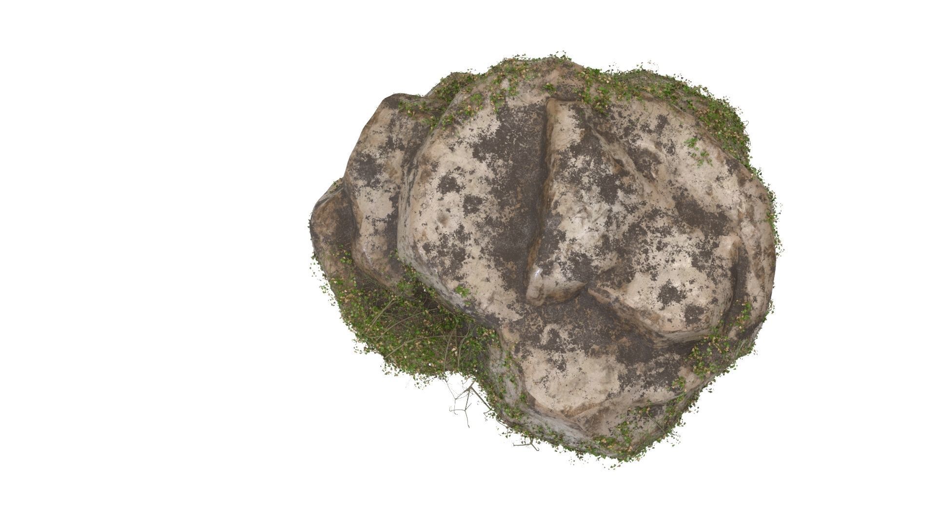 4K Realistic Giant Rock Ivy  3D model_5