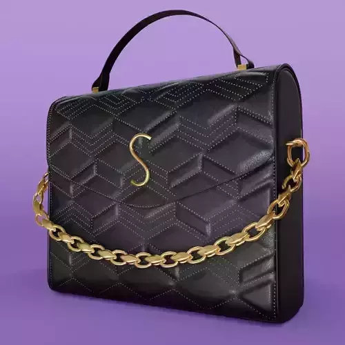 Black leather handbag model