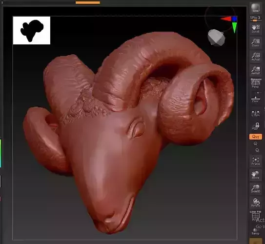 Bighorn sheeps 3 type