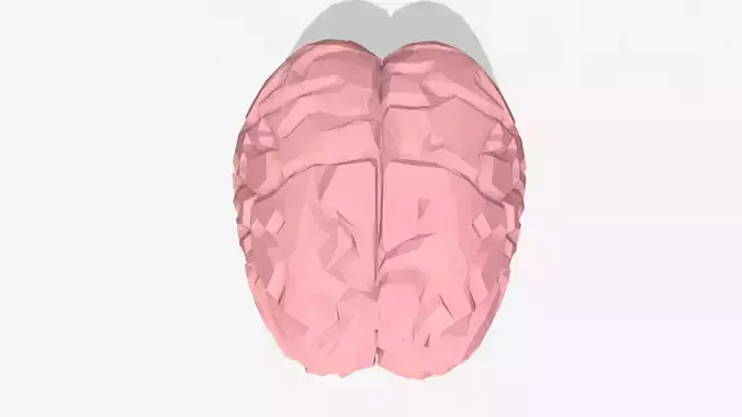 Low poly pink human brain  Low-poly 3D model