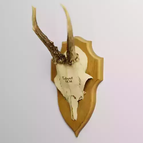 Skull Decoration 3D model