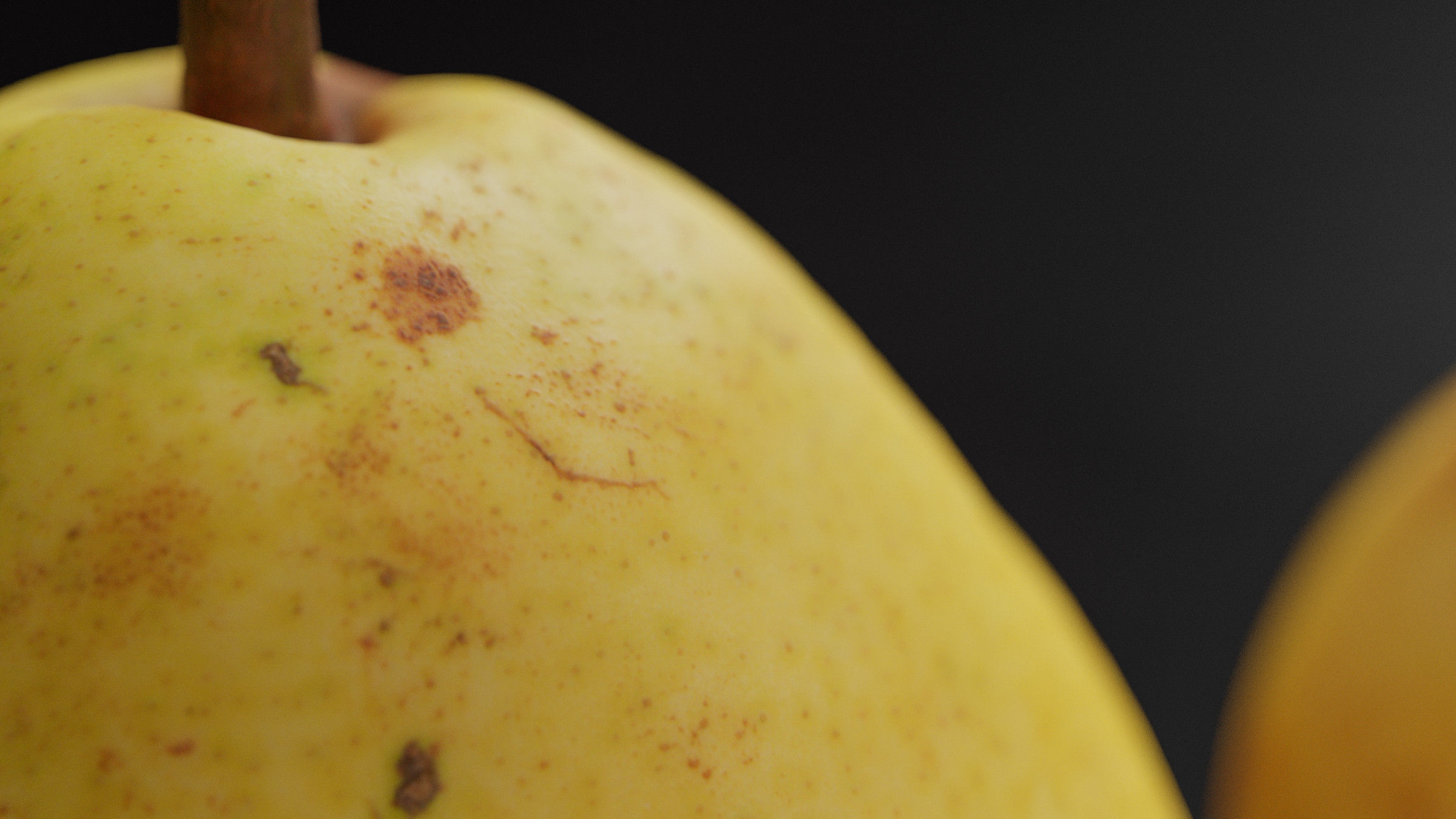 Pear - Photogrammetry 3D model_7