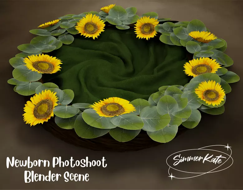 Newborn Photoshoot Scene 3D model_0